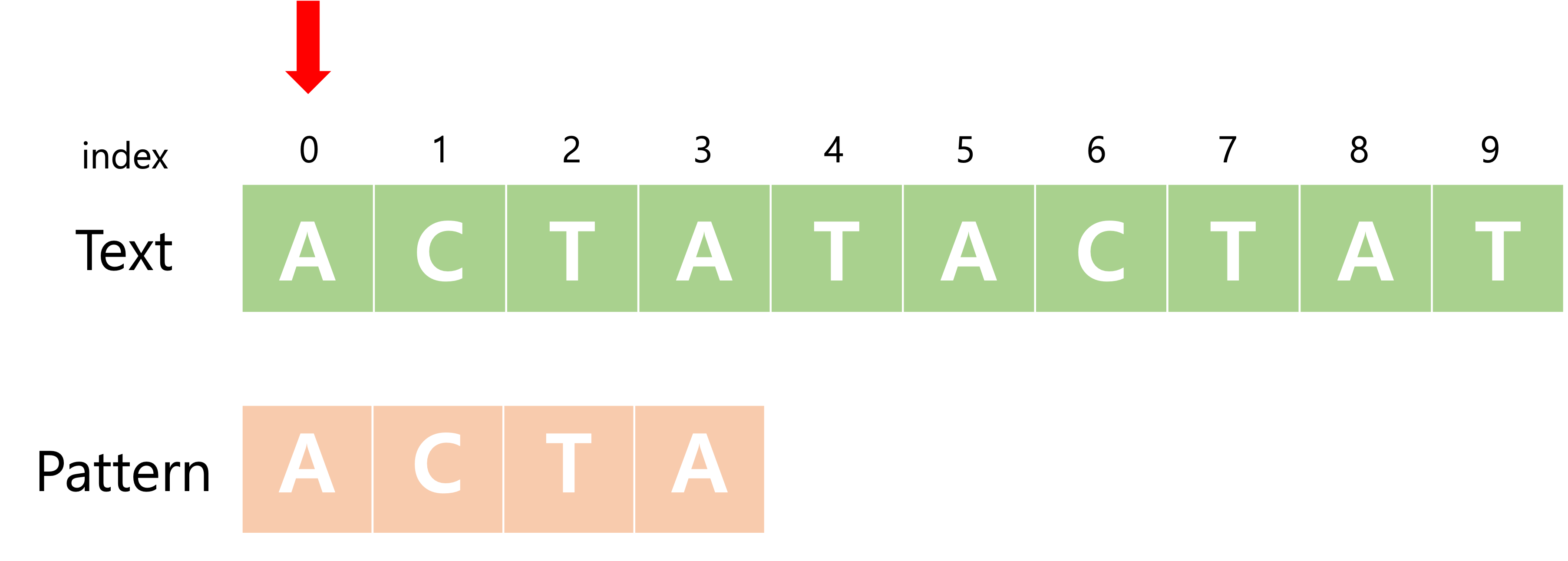 index가 0일 때 주어진 text에서 pattern(ACTA)찾기